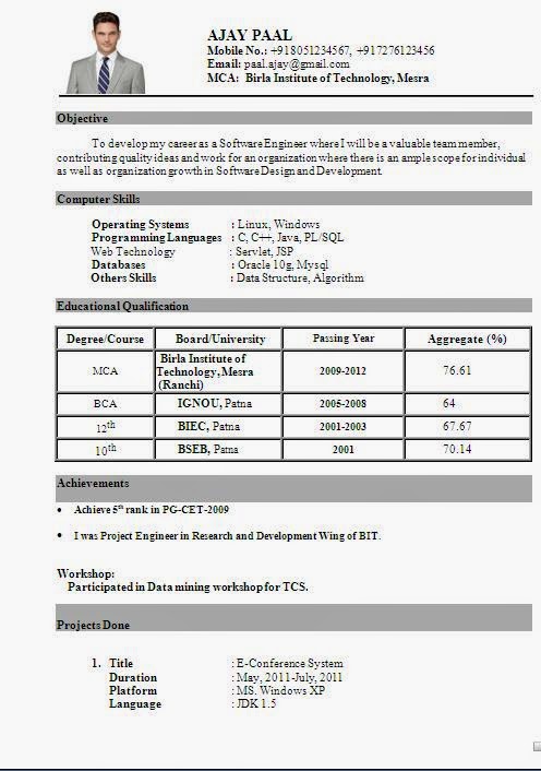 Fresher marketing resume format